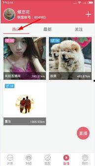 橘子视频看电视剧免费观看 
