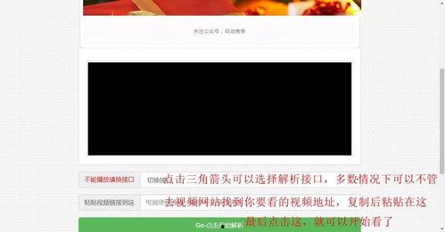 蛋里有什么 